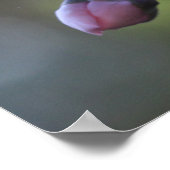 フローラポスターw申命記31:6 ポスター (角)