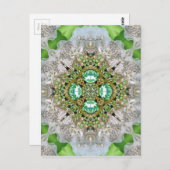 フローラマンダきらきら光るラエラルドグリーンラインストーン ポストカード (正面/裏面)