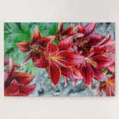 フローラムラサキユリ赤カナダの花 ジグソーパズル (横)
