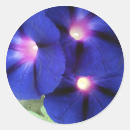 フローララウンドステッカー ラウンドシール