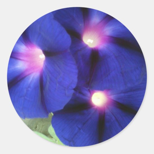 フローララウンドステッカー ラウンドシール (正面)