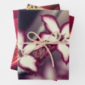 フローララッピング紙シート ラッピングペーパーシート (インサイチュ)