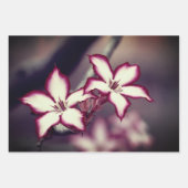 フローララッピング紙シート ラッピングペーパーシート (正面)