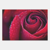 フローララッピング紙シート ラッピングペーパーシート (正面3)