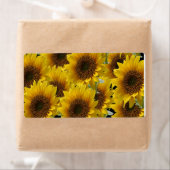 フローララベルひまわり ラベル (インサイチュ)