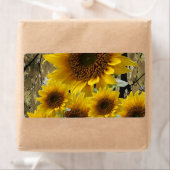 フローララベルひまわり ラベル (インサイチュ)