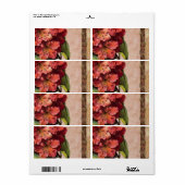 フローララベルフローラ ラベル (フルシート)