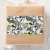 フローララベル ラベル (インサイチュ)