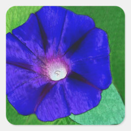 フローラルフォト スクエアシール