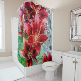 フローラレッドスターガーザーリリー写真 シャワーカーテン