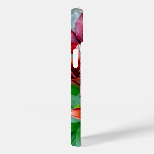 フローラレッドスターガーザーリリー写真 Case-Mate iPhoneケース (裏面 / 右)