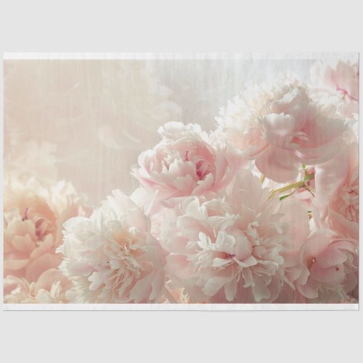 フローラヴィンテージの分離開花の牡丹 薄葉紙 (正面)