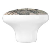 フローラヴィンテージフランスのピンクローゼスグレーエフエメラ セラミックノブ (側面)