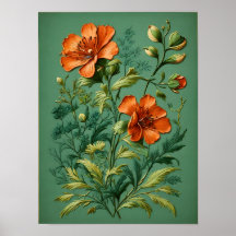 フローラ交響曲調和