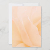 フローラ供養 招待状 (裏面)