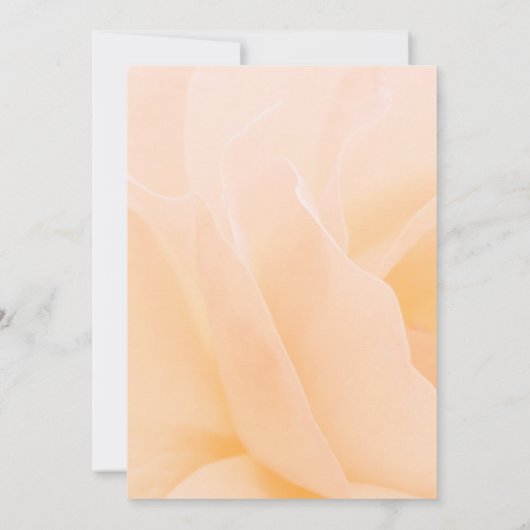 フローラ供養 招待状 (裏面)