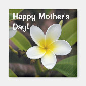 フローラ写真白と黄色の母親の日 マグネット (正面)