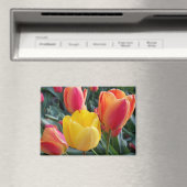 フローラ写真 マグネット (インサイチュ (食洗機))