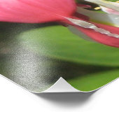 フローラ出血ハートプロコダックサテン写真プリント フォトプリント            (角)