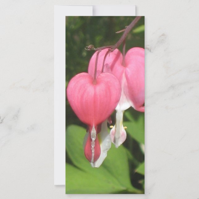 フローラ出血ハート-カスタムプロモーションラックカード (正面)