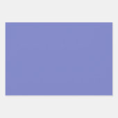 フローラ包装紙 ラッピングペーパーシート (正面3)