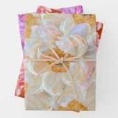 フローラ包装紙 ラッピングペーパーシート (インサイチュ)