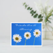 フローラ友達は賛美白いデイジーの花 ポストカード (スタンド正面)