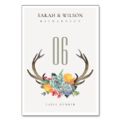 フローラ吸汁性アントラーボヘミアのアキュールテーブル テーブルナンバー (裏面)