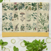 フローラ図解入りの、写真付きの キッチンタオル (折り畳み)