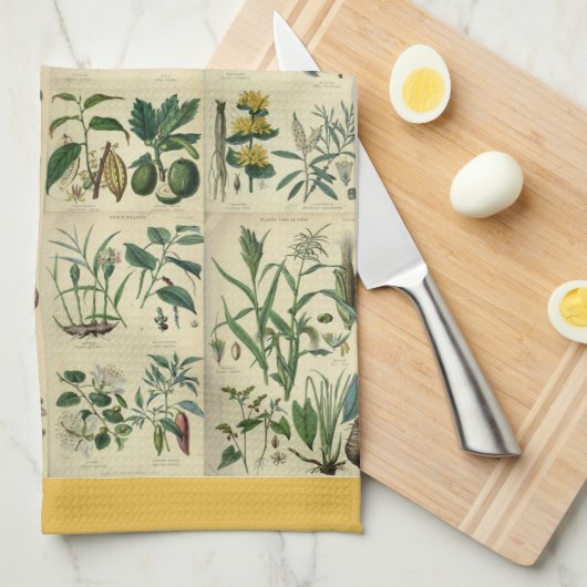 フローラ図解入りの、写真付きの キッチンタオル (四つ折り)