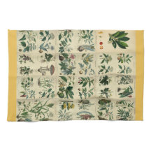 フローラ図解入りの、写真付きの