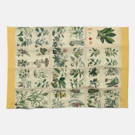 フローラ図解入りの、写真付きの キッチンタオル