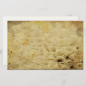 フローラ固定 便箋 (正面/裏面)