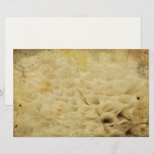 フローラ固定 便箋 (正面/裏面)