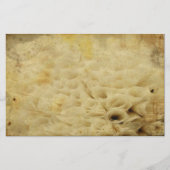 フローラ固定 便箋 (正面)