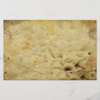 フローラ固定 便箋