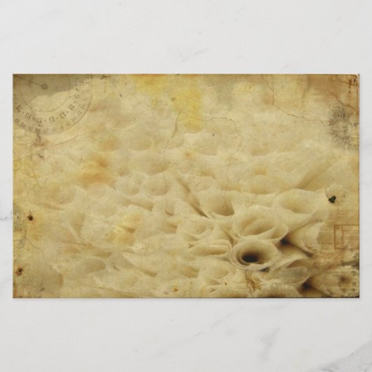 フローラ固定 便箋 (正面)