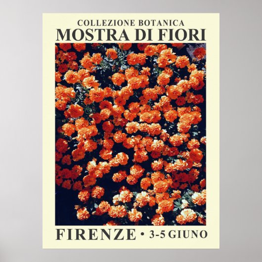 フローラ展示第3号ポスター ポスター (正面)