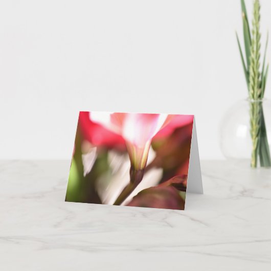 フローラ折り曲げサンキューカード サンキューカード (正面)