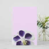 フローラ文房具、紫と白 便箋 (スタンド正面)