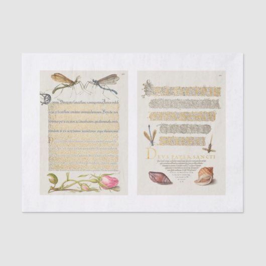 フローラ書庭の切り離し 薄葉紙 (正面)