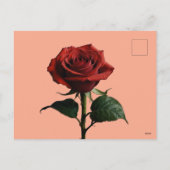 フローラ枠オレンジ色結婚の花はがき シーズンポストカード (裏面)