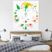 フローラ植物の血管精子のライフサイクル図 キャンバスプリント (インサイチュ (寝室))