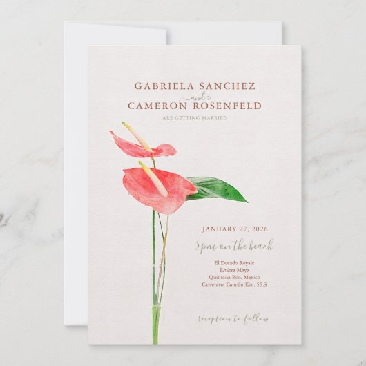 フローラ水彩熱帯性ラクレー結婚フ 招待状 (正面)