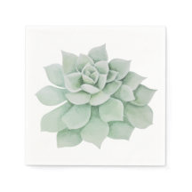 フローラ水色ミントグリーン多肉性サボテン