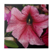 フローラ爆発 タイル (正面)