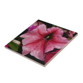 フローラ爆発 タイル (側面)