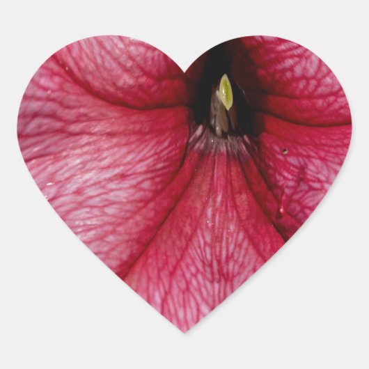 フローラ爆発 ハートシール (正面)