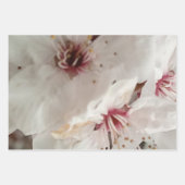 フローラ爆発 ラッピングペーパーシート (正面3)