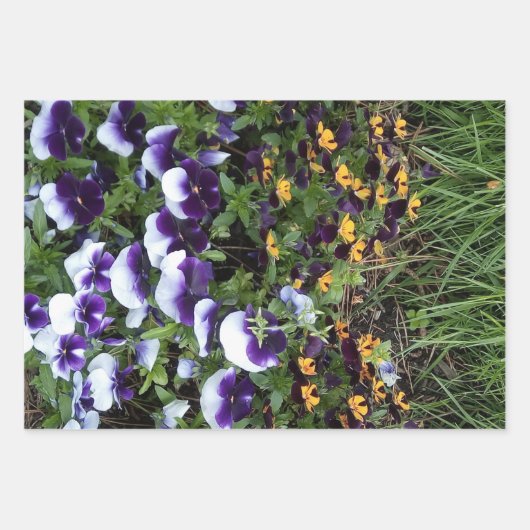 フローラ爆発 ラッピングペーパーシート (正面)